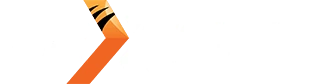 โลโก้ค่ายเกม Nextspin ที่ Z16 เว็บตรง